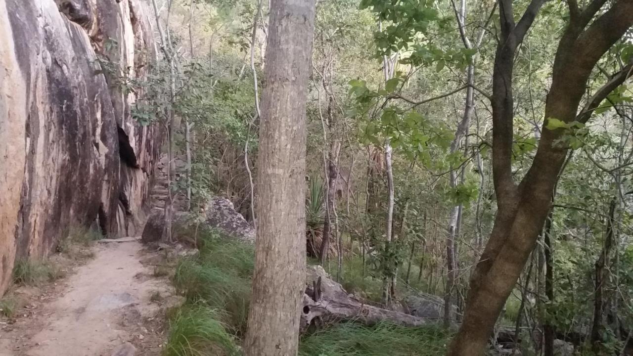 Shambhala Retreat Magnetic Island Cottages 넬리베이 외부 사진